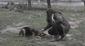 Üniversite öğrencilerinden, İstanbul ormanlarındaki sürgün köpeklere şefkat eli!